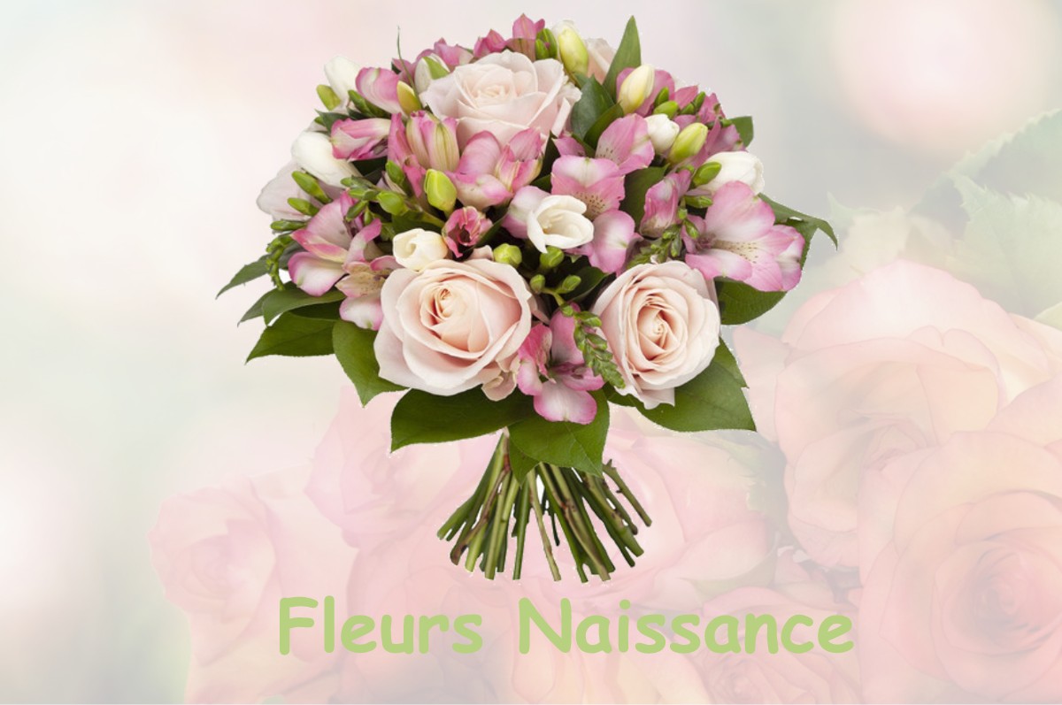 fleurs naissance TRETS